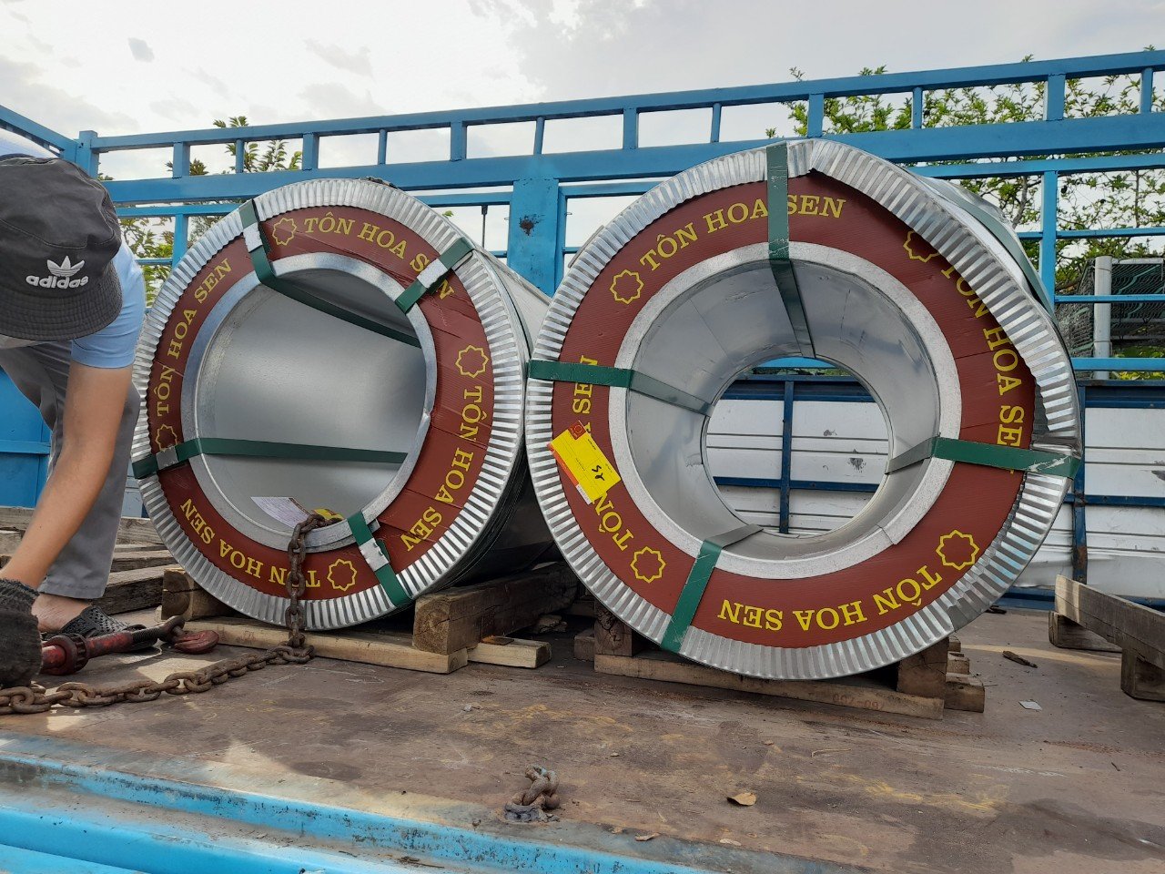 tôn hoa sen tôn hoa sen