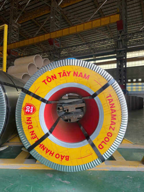 Tôn Tây Nam